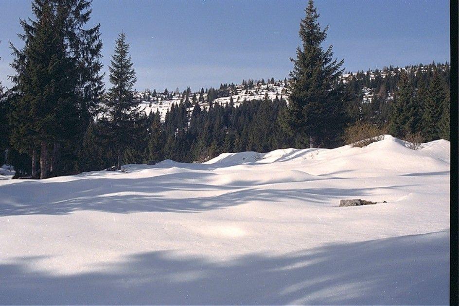 Albergo Al Pino Enego Zewnętrze zdjęcie